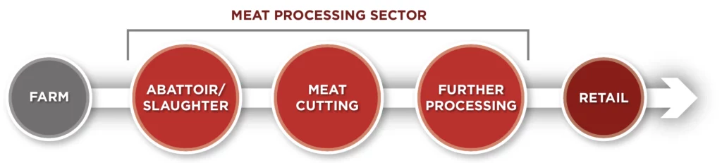 Meat Processing Sector: Farm, Abattoir/Slaughter, Meat Cutting, Further Processing, Retail